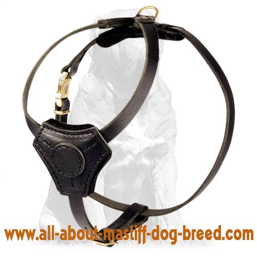 Leather Dog Harness for Training and Walking Mastiff Puppy