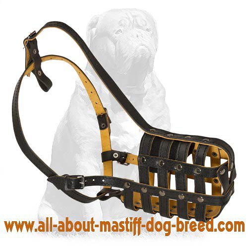 Get Leather Basket Dog Muzzle Padded Mesh Muzzle for your Mastiff