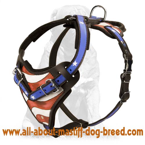 Leather Dog Harness with Trendy Painting for Mastiff