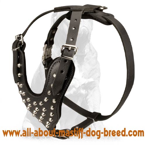 Pyramids Studded Leather Dog Harness for Mastiff's Everyday Occupations