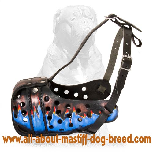Trendy Painted & Easy Adjustable Mastiff Dog Muzzle for Attack Work