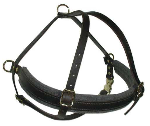 Tracking and Pulling Leather Harness for English Mastiff