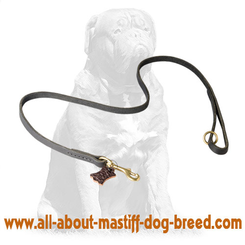 Handy leather dog leash with handle 