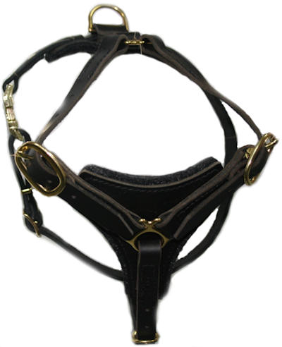 Tracking and Walking English Mastiff Harness made of Leather