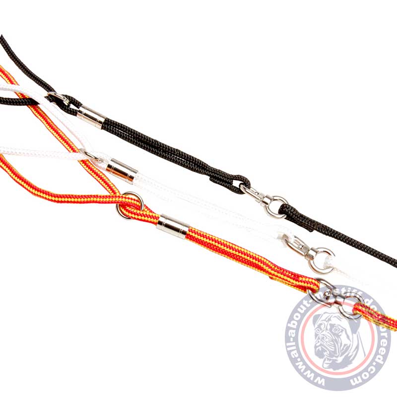 swivel dog show leads