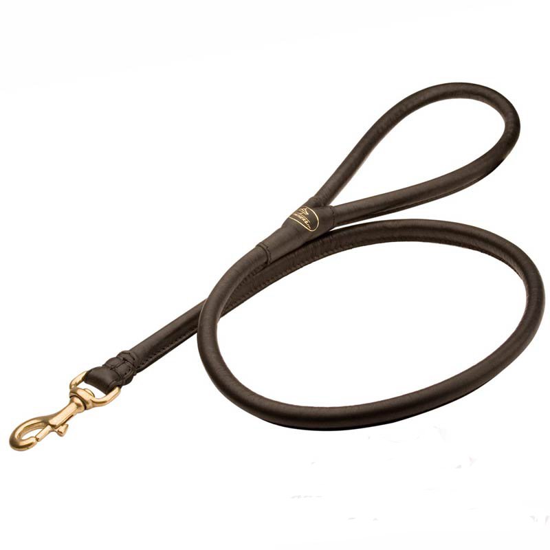 rolled leather leash