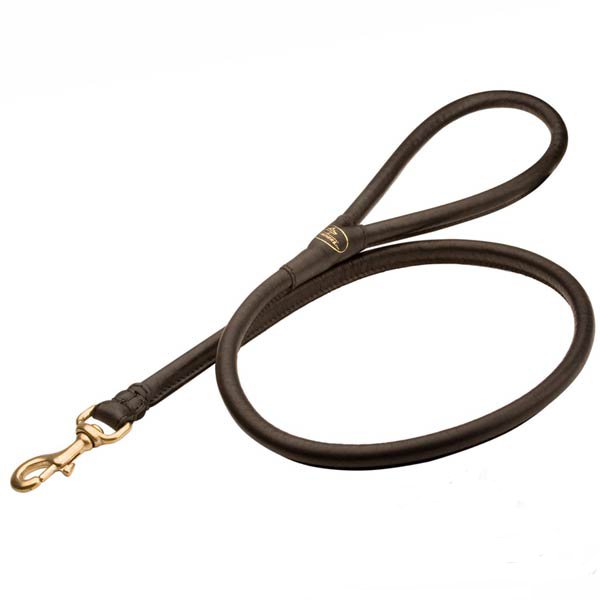 Extra sturdy round leather dog leash