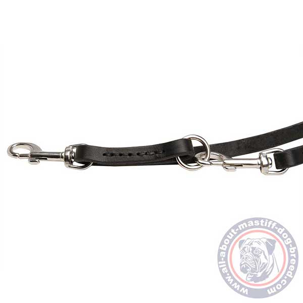 Leather dog leash with stainless steel fittings