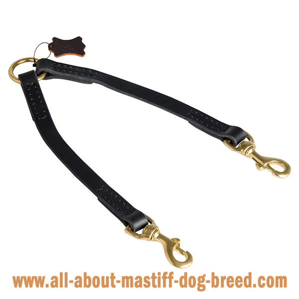 Mastiff Dog Coupler for Pleasant Walking with 2 Dogs