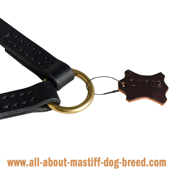 Mastiff Dog Coupler with Massive O-Ring for Leash  Attachment