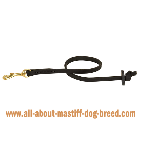Obedience training and walking leather Mastiff leash