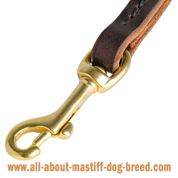 Custom leather Mastiff lead with rustproof snap hook