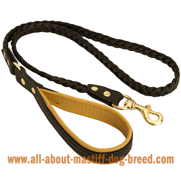 Reliable Mastiff leather leash with brass snap hook