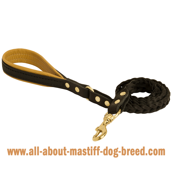 Leather Mastiff leash with padded handle