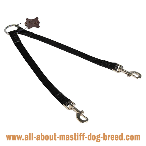 Mastiff leash with nickel plated fittings