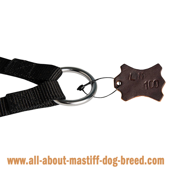 Stitched Mastiff leash with rust and corrosion resistant fittings