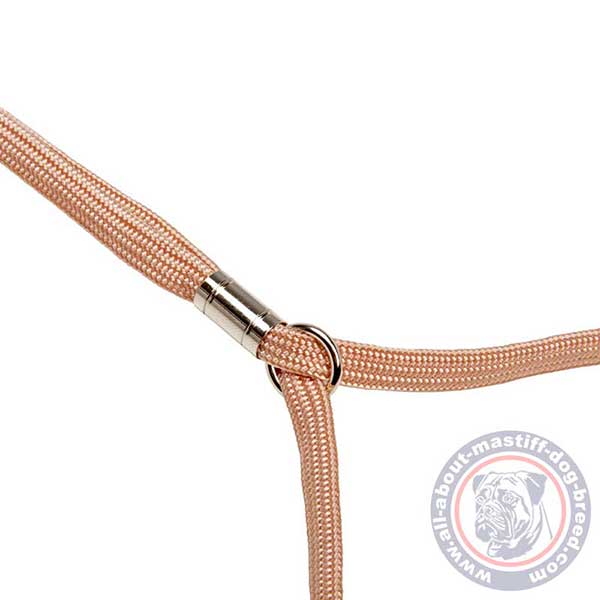 Nylon combo dog leash and collar for the show