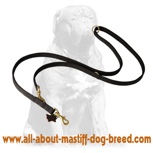 Extra strong nylon leash with brass snap hook