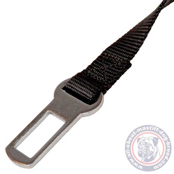Nylon dog belt with nickel clasp