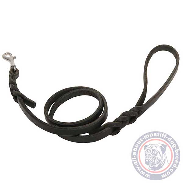 Designer leather dog leash