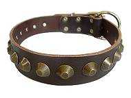 Gorgeous Wide Leather Dog Collar - Mastiff leather collar Gorgeous Wide Leather Dog Collar - Mastiff leather collar