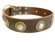 Leather Dog Collar with silver conchos Leather Dog Collar with silver conchos