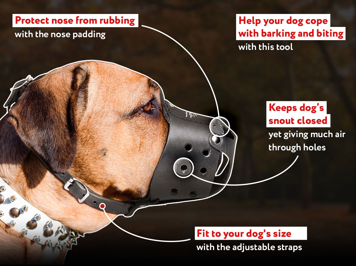 how long can a muzzle stay on a dog