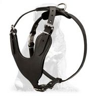 Heavy Duty Protection Dog Harness for Mastiff