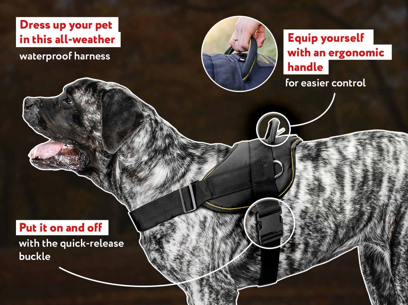 Mastiff Nylon Multi Purpose Dog Harness Mastiff harness Mastiff muzzle Mastiff collar dog leash 2024 BUY NOW