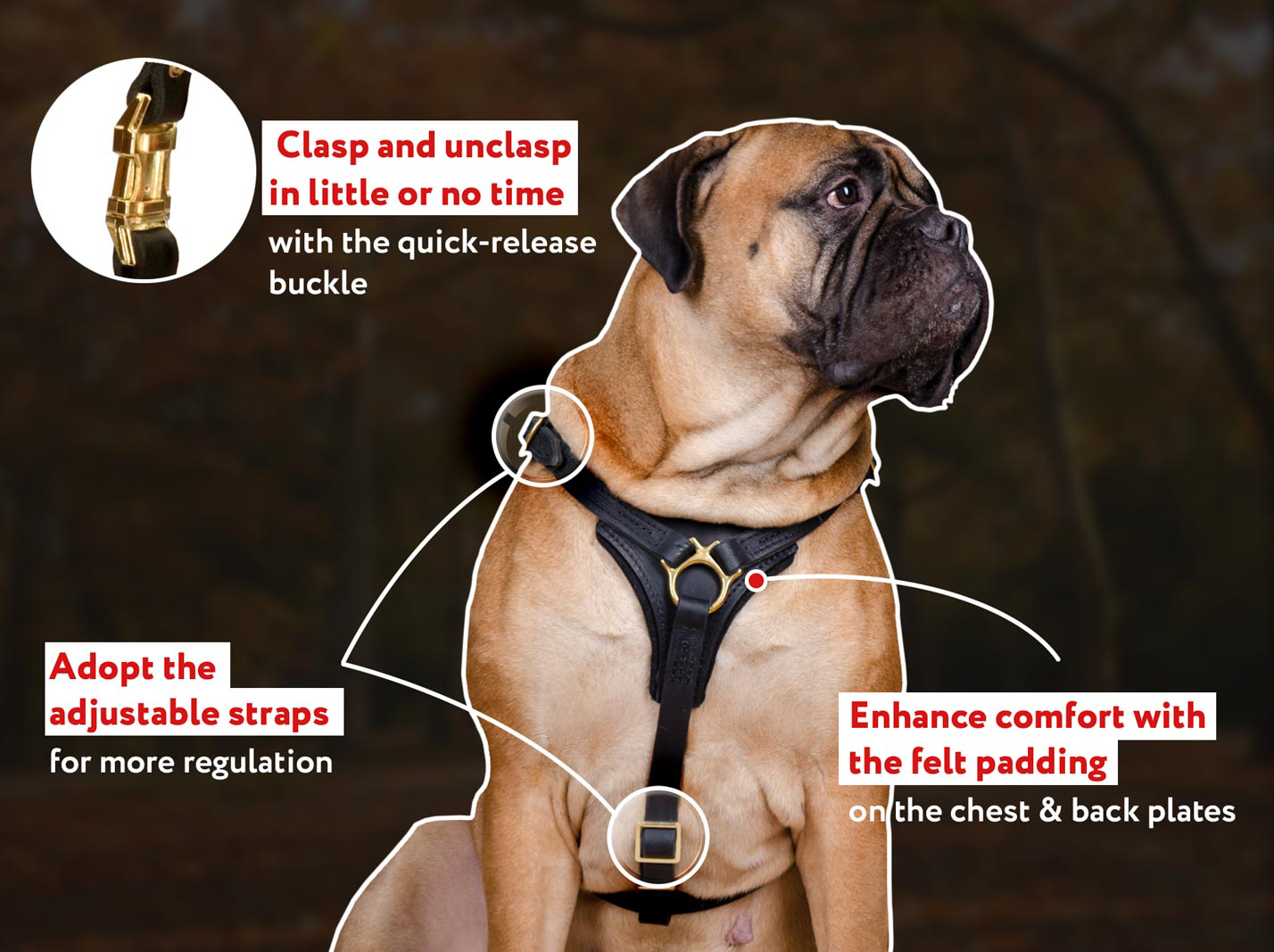 Buy Adjustable Tracking And Walking Padded Mastiff Harness!