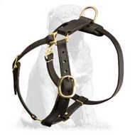 Leather Lightweight Dog Harness for Mastiff Tracking Work, Walking and Training