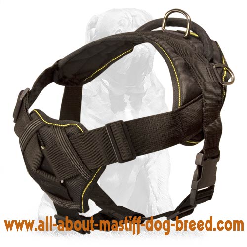 Nylon Multi-Purpose Dog Harness with Chest Plate for Mastiff