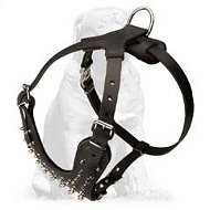 Silver Shining Daily Leather Harness for Mastiff