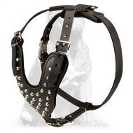 Pyramids Studded Leather Dog Harness for Mastiff's Everyday Occupations