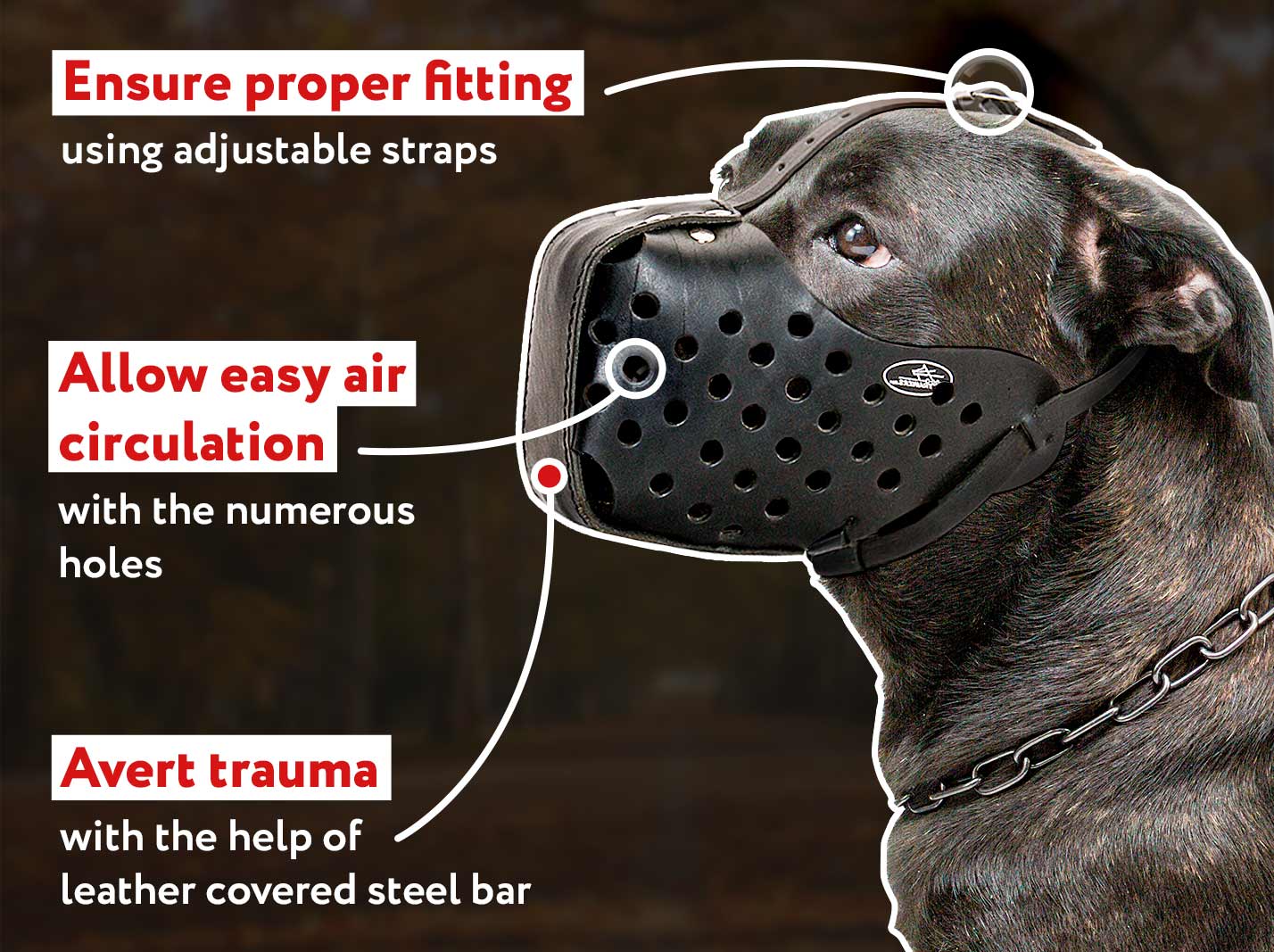 Pay attention to Training Leather Dog Muzzle for Mastiff