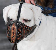 Hand-painted leather Argentinian Mastiff muzzle