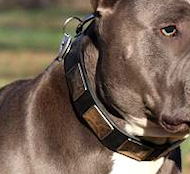 Mastiff Leather Dog Collar With Vintage Massive Plates Mastiff Leather Dog Collar With Vintage Massive Plates