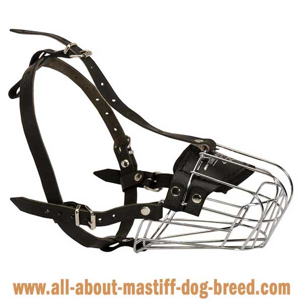  American Bandogge Mastiff comfortable wire cage muzzle