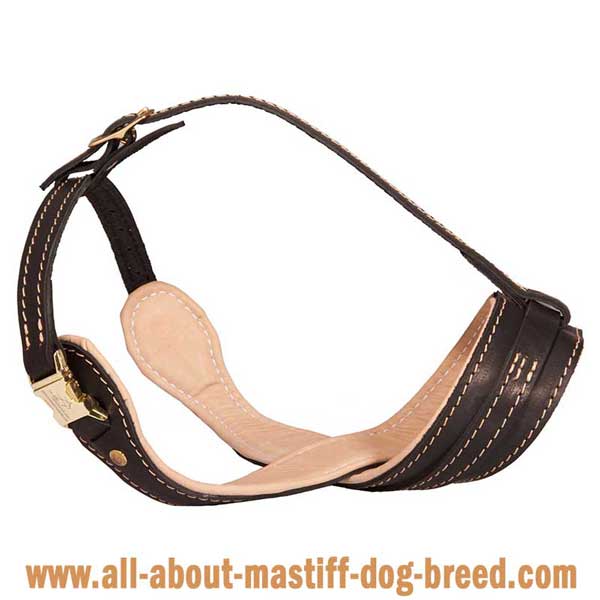 Reliable leather muzzle for bites prevention