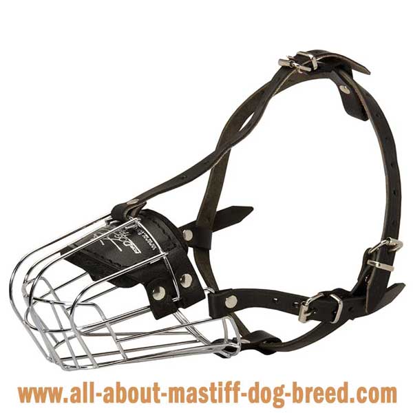 Rust resistant metal Mastiff muzzle