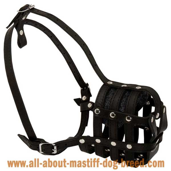 Reliable and comfortable leather basket muzzle 