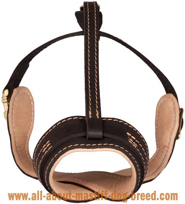 Super comfortable leather muzzle 