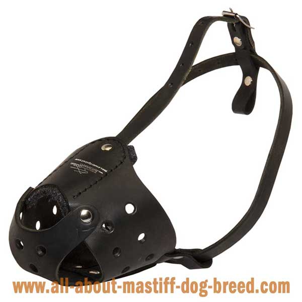 Anti-Barking Safe Leather Bullmastiff Muzzle