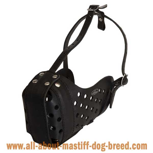 Hypoallergic Leather Bullmastiff Muzzle