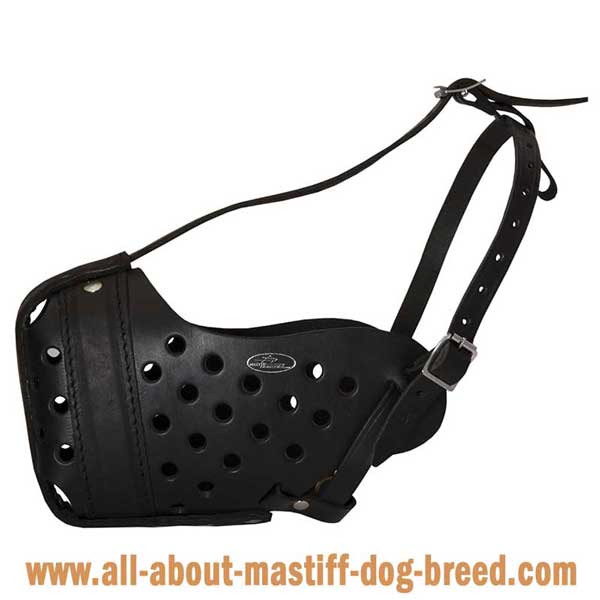 Ventilated Leather Bullmastiff Muzzle