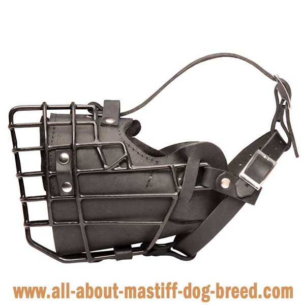 Non-Toxic Winter Bullmastiff Muzzle