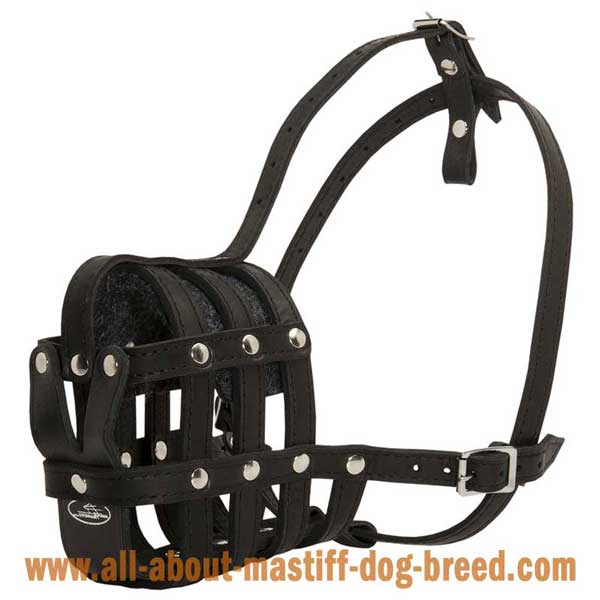  Leather Bullmastiff muzzle with perfect air flow