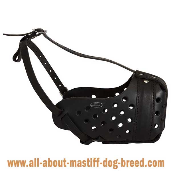 Non-Toxic Leather Cane Corso Mastiff Muzzle