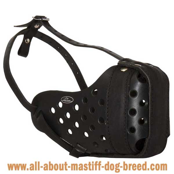 Stitched Leather Dog Muzzle