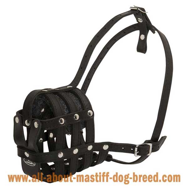  Leather basket English Mastiff muzzle with perfect air flow
